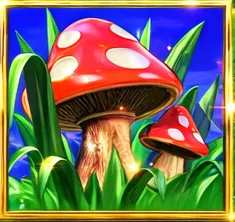 Magic Toadstool